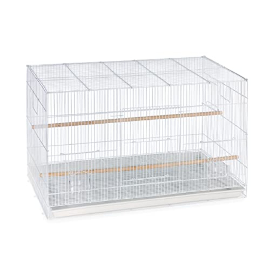 Flight Cage for Multi-Bird Hom - Interior Design And Construction のレビューと価格