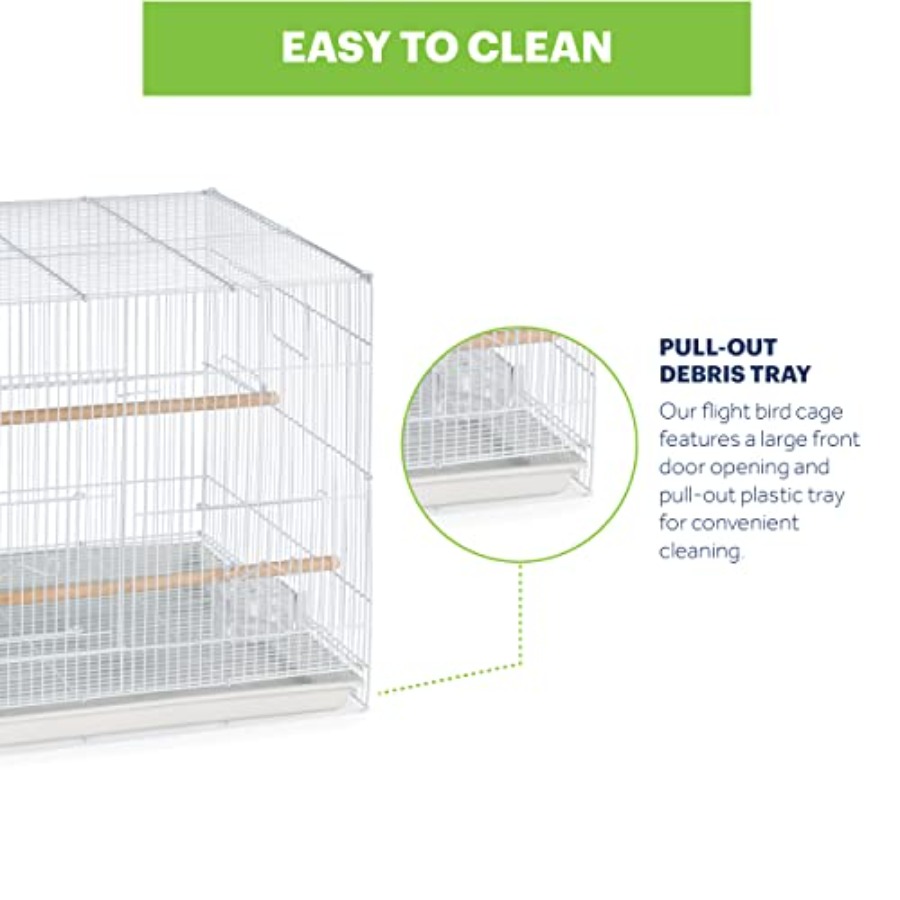 Flight Cage for Multi-Bird Hom - Interior Design And Construction のレビューと価格